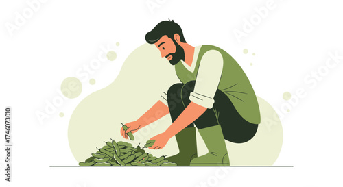 Illustration Of A Farmer Harvesting Peas: A Simple And Attractive Vector Design