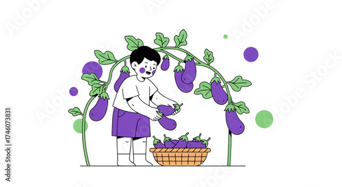 Illustration of a child harvesting eggplants in a garden with a basket for collecting them vegetable