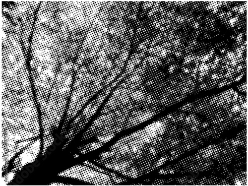 HALFTONE BACKGROUND_27