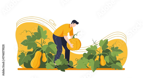 Illustration of a Farmer Harvesting Pumpkins from a Pumpkin Patch in Vector Style