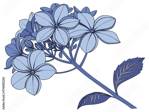 Blue Floral Vector Illustration with Leaves and Blossoms