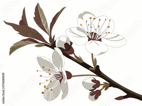 Cherry Blossom Branch: A delicate cherry blossom branch showcasing pristine white petals, freshly unfurled buds, and elegant green leaves, embodying the ephemeral beauty of spring and renewal.