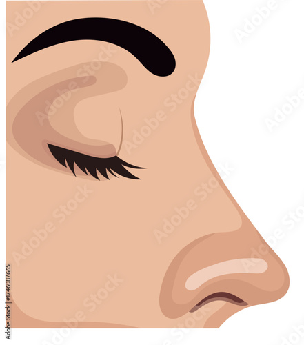 Woman Nose Side View Illustration Isolated on White Background