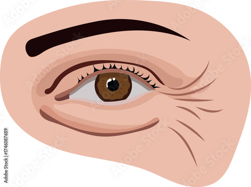 Elderly Human Eye with Aging Winkles Illustration Isolated on White Background