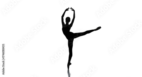 An illustration of a palm tree plantation, with many trees in rows and coconuts scattered on the ground.