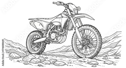 An illustration of a palm tree plantation, with many trees in rows and coconuts scattered on the ground.