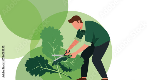 Illustration of a person cutting vegetables in a garden with healthy fresh leaves