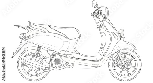 An illustration of a palm tree plantation, with many trees in rows and coconuts scattered on the ground.