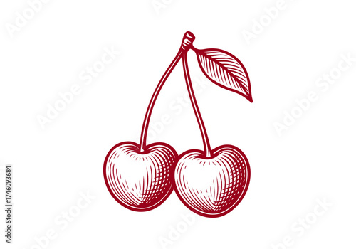 Cherry hand drawn simple engraved vector illustration