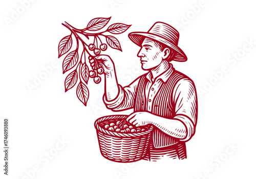 Cherry hand drawn simple engraved vector illustration