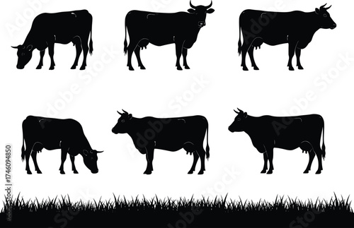 Cow silhouette vector set, grazing cattle illustration, black farm animal icons, pasture grass design, livestock clipart for agriculture, rural themes