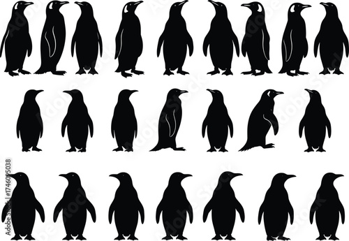 Penguin silhouette vector set, black animal icons, wildlife clipart collection, standing penguins, side view, minimal style, editable illustration, isolated shapes