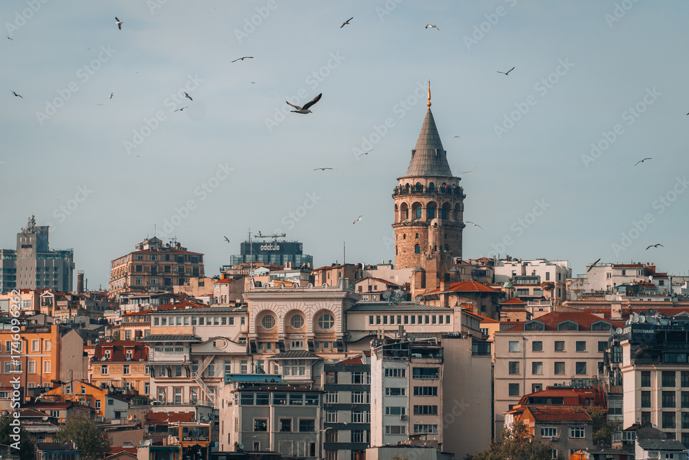 Obraz premium galata tower istanbul turkey