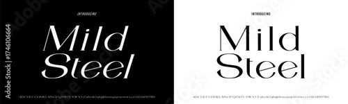 Elegant Font Uppercase Lowercase and Number. Classic Lettering Minimal Fashion Designs. Typography modern serif fonts regular decorative vintage concept. vector illustration.