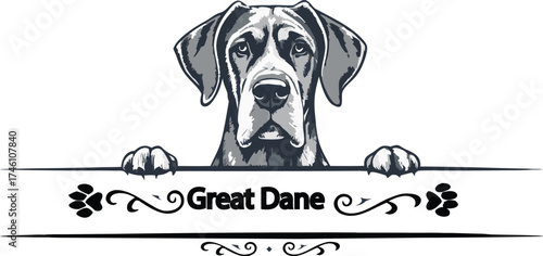Black and white vector illustration of a cute young purebred dalmatian puppy head isolated