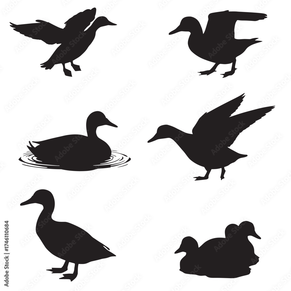 Obraz premium Silhouettes of Flying ducks Vector Illustration Set