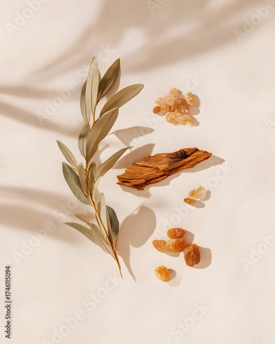 Artistic flat lay of a dried botanical branch with incense resin tears and bark.