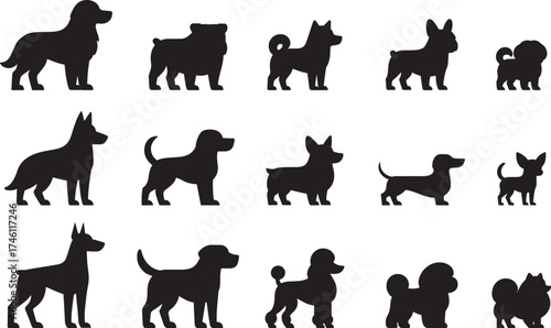 15 standing dog silhouettes of different breeds - poodle, dachshund, shiba inu, maltese, chihuahua, corgi, french bulldog, pomeranian, labrador, doberman pinscher