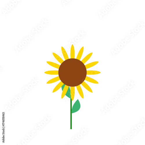 Hello Sunshine Floral Illustration