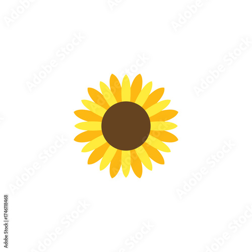 Golden Sunflower in Full Bloom