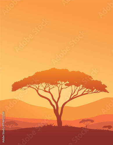 tree in sunset
