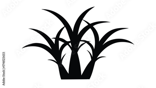 Solid Black Silhouette Vector of a Sugarcane Plant