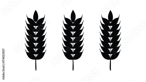 Solid Black Silhouette Vector Set of Wheat and Barley Ears