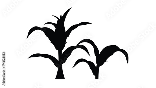Solid Black Silhouette Vector of a Corn Plant