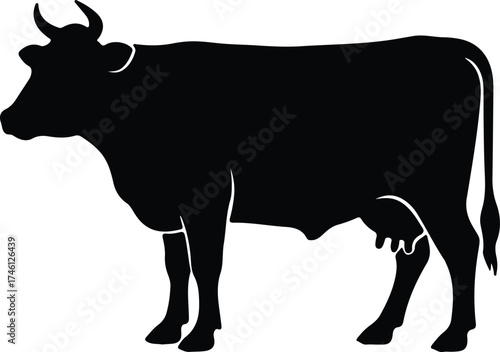 Illustrator Vector Domestic farm animal Holstein dairy cow standing silhouette