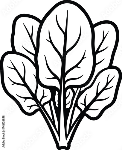 Illustrator Vector Fresh spinach leaves healthy food graphic illustration silhouette