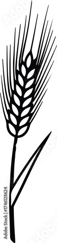 Illustrator Vector Single ear of wheat grain plant silhouette
