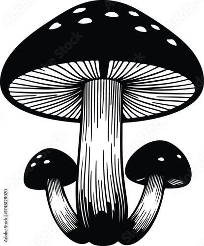 Illustrator Vector Three black and white mushrooms drawing illustration silhouette