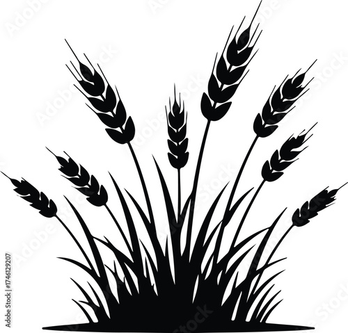 Illustrator Vector wheat stalks and grass plant farm field silhouette
