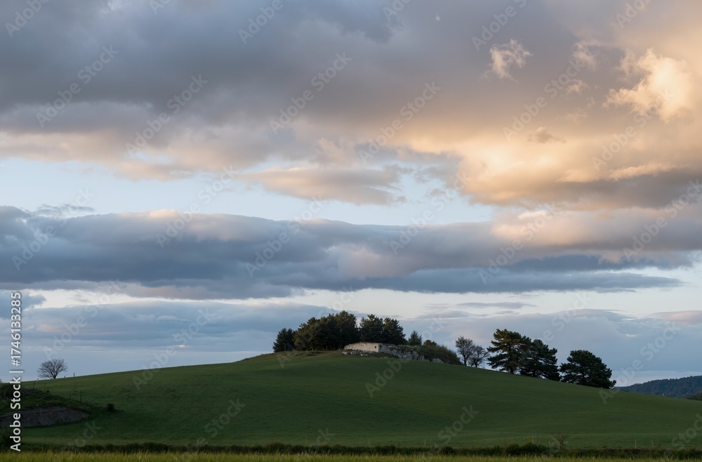 Fototapeta premium green field and blue sky