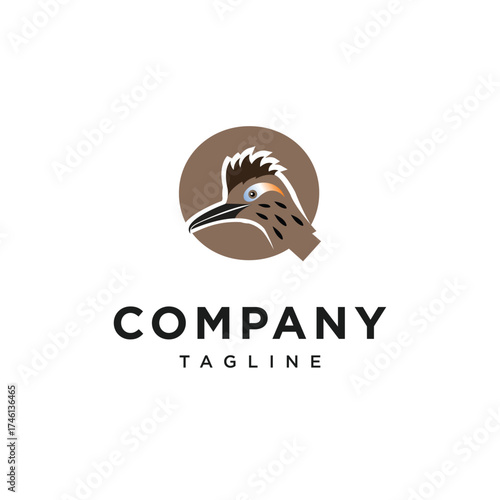 Letter Q Roadrunner Bird Logo Icon Vector