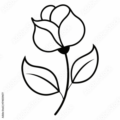 sweet pea flower line art on white background