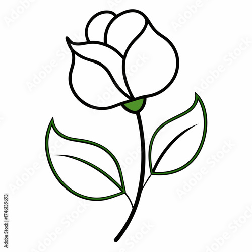 sweet pea flower line art on white background