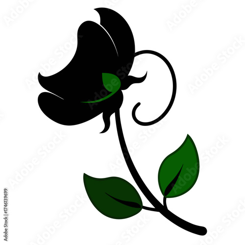  sweet pea flower silhouette on white background
