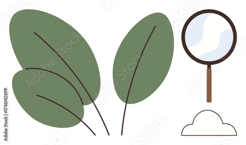 Magnifying glass examining large green leaves, symbolizing ecology, research, growth, environment, sustainability. Ideal for science, nature, agriculture education eco-friendly conservation