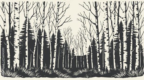 Black and white illustration depicting a forest with a mix of evergreen and birch trees, and tall grass in the foreground.