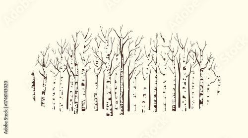 Illustration of a cluster of birch trees with bare branches against a light beige background.