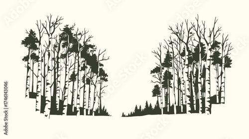 Silhouette illustration of two groups of trees, including birch and evergreens, with bare branches against a light background.