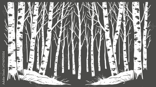 A stylized illustration of a birch forest with white trees against a dark background, showing a wintery scene.