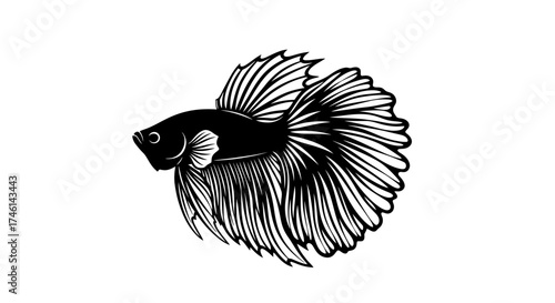 A black and white illustration of a betta fish with flowing fins and detailed scales.