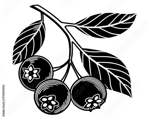 Stylized white blueberries with leaves on black background