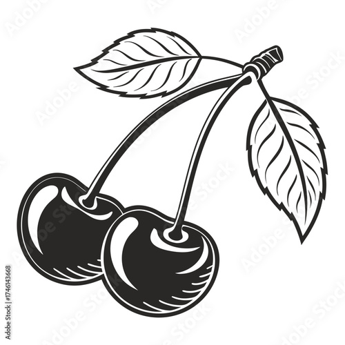 Stylized black and white cherries with leaves on black background