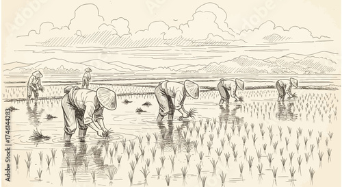 Ink illustration depicting farmers planting rice seedlings in a flooded field, under cloudy skies.