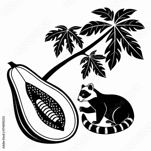 Raccoon and papaya fruit with leaves