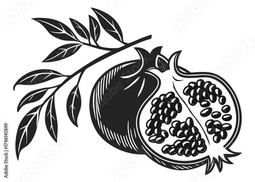 Stylized pomegranate on a branch with leaves