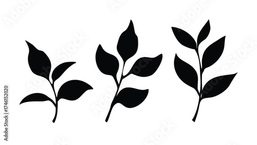 Solid Black Silhouette Vector Set of Tea and Coffee Leaves
